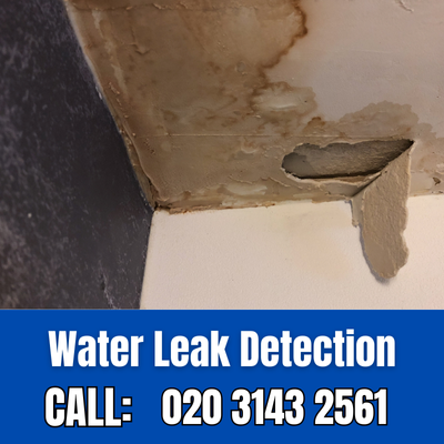 Expert Water Leak Detection Services in Ladbroke Grove | Ladbroke Grove Leak Detection